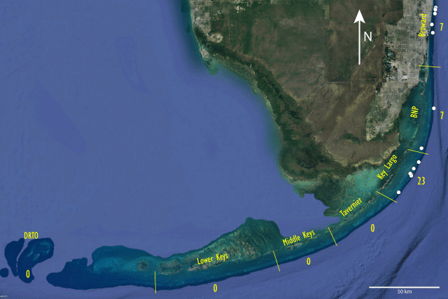 image2 wild elkhorn coral map fall 2023 SEFSC