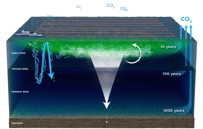 Image2 WHOI mCDR Graphic