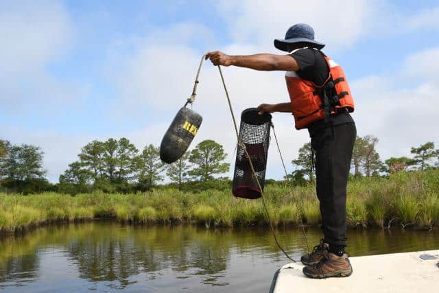 image2 Oliver deploys eel trap