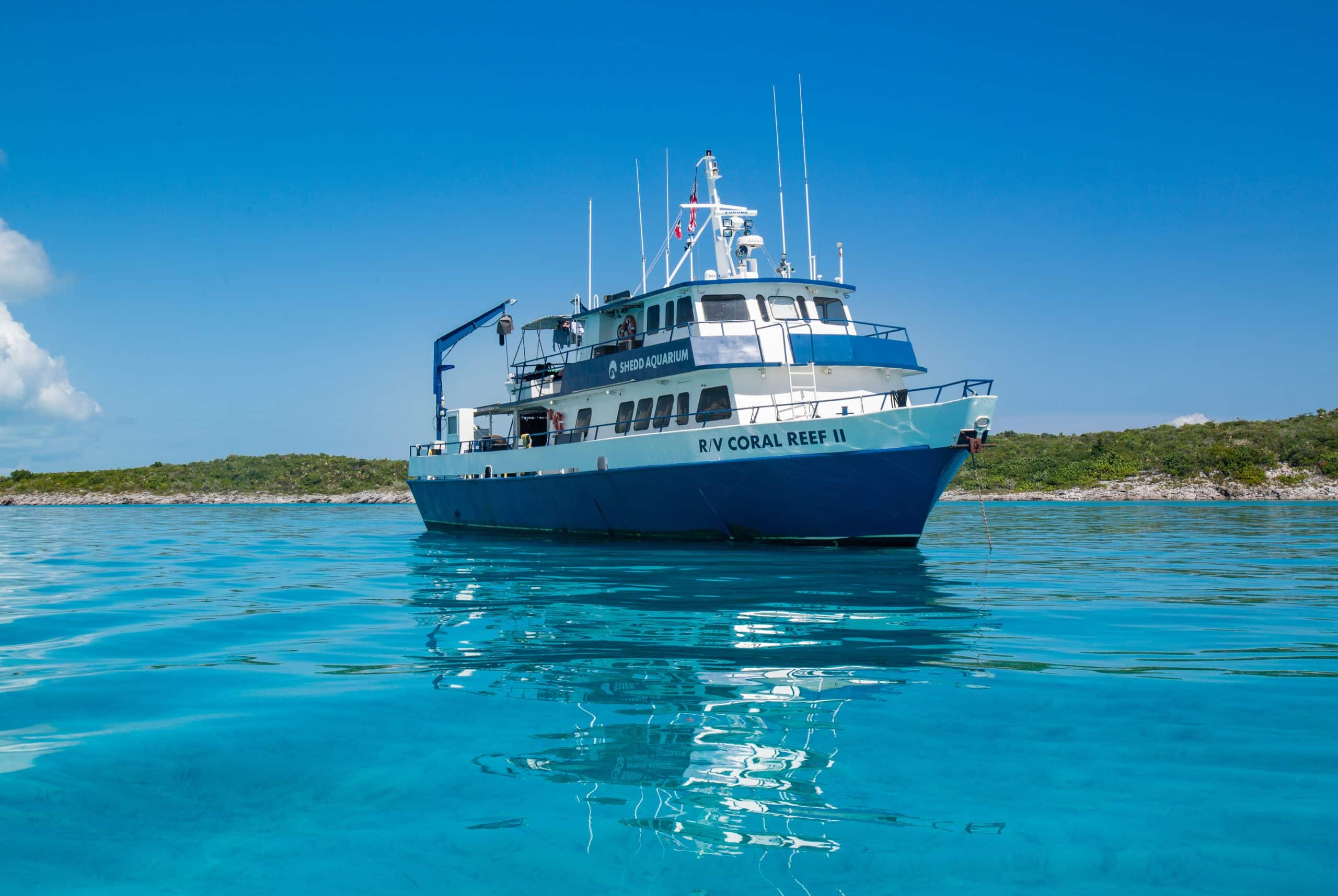 image2 RV Coral Reef II IMG 1659 Hilary Wind