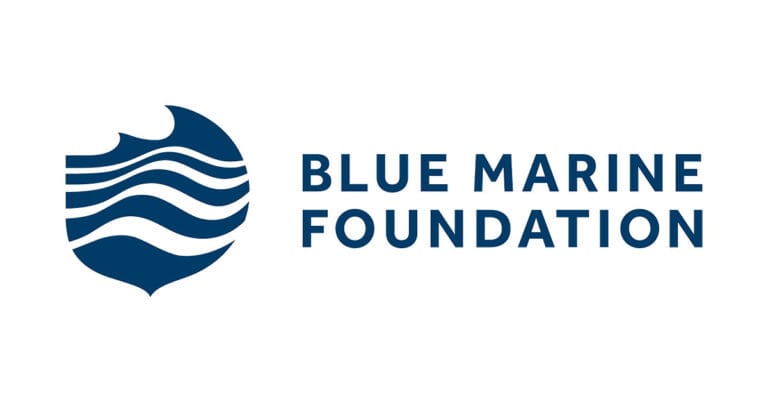 Blue Marine Foundation logo