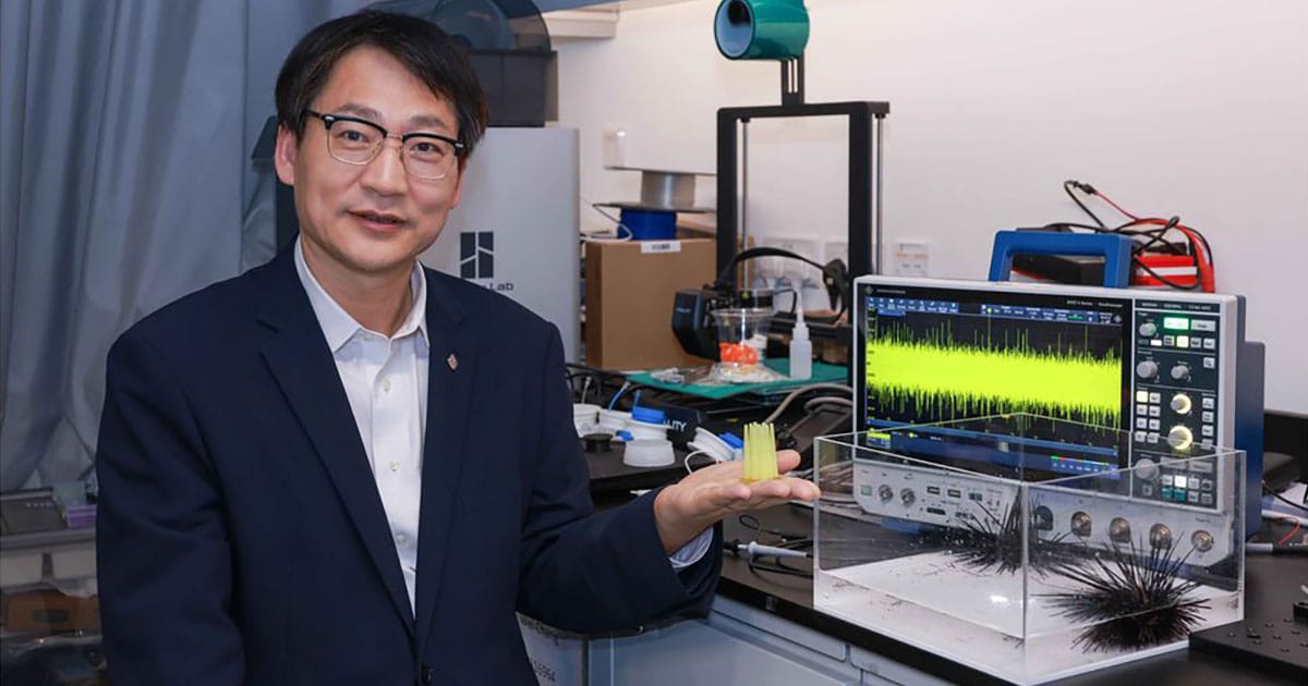 PolyU research unveils mechanoelectrical perception in sea urchin spines, empowering next-generation biomimetic sensors.
