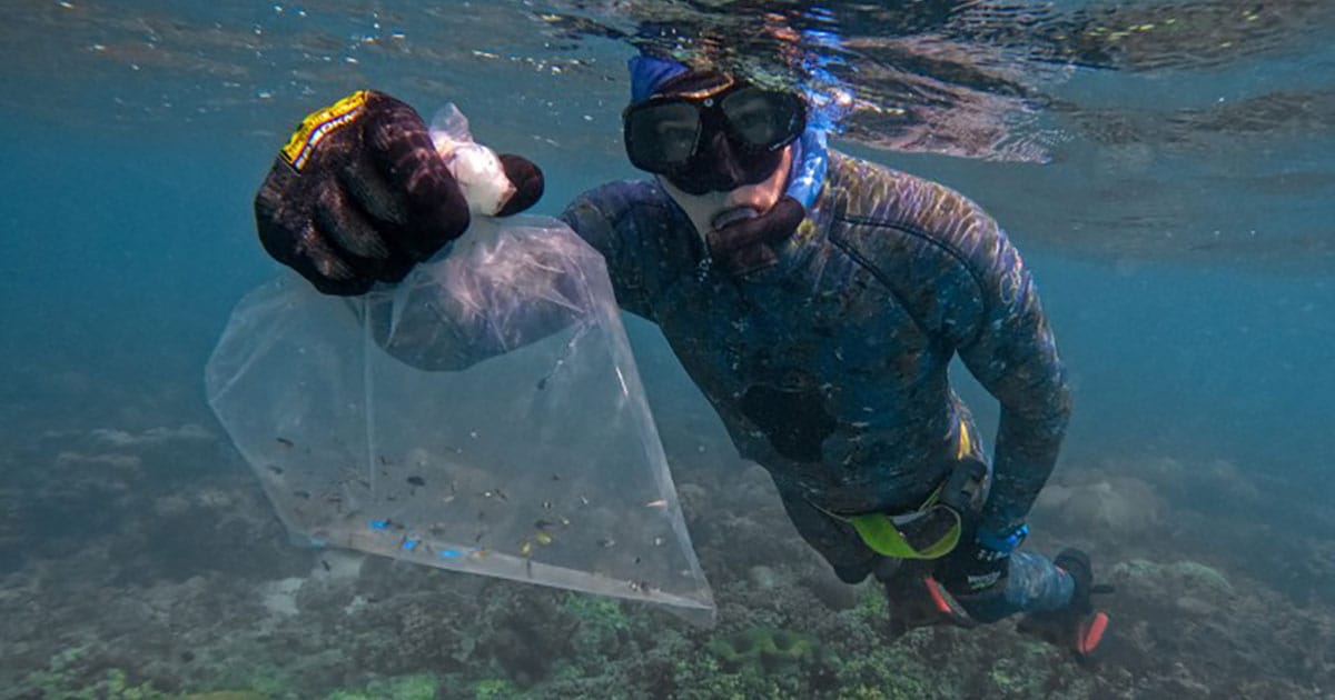 AIMS researchers and collaborators have collected data about the relationships between fish and corals.