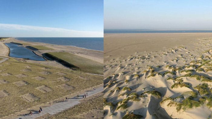 Artificial dunes and natural dunes.