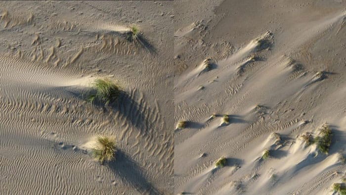 Dune formation is mainly determined by the positions of patches relative to one another.