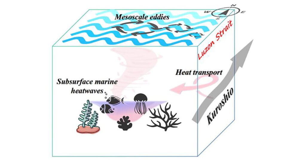 Subsurface MHW impacts on deep ecosystems in the SCS.