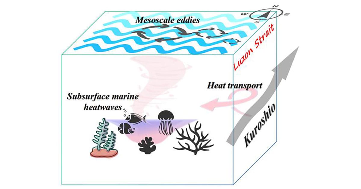 Subsurface MHW impacts on deep ecosystems in the SCS.
