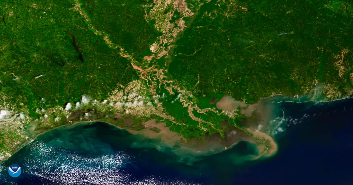 Satellite view of the Mississippi River Delta.