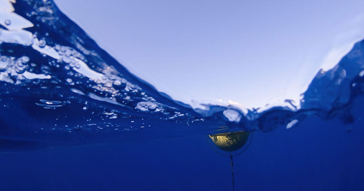 New Strategic Plan For Sharing Ocean Data