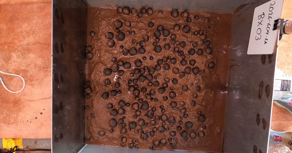 Image of geological samples from the seafloor that were collected via box core on April 14, 2026, in US waters off American Samoa.