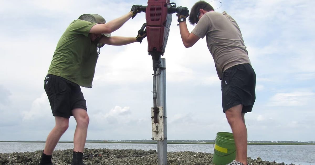 Researchers sampling sediments adjacent to an oyster reef in coastal North Carolina.