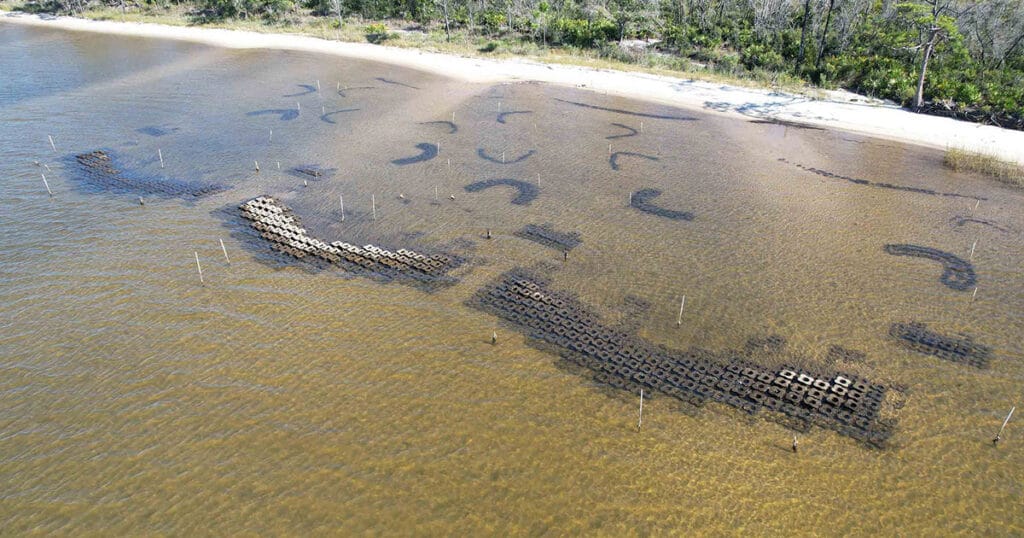 Drone image of a “living shoreline” at Tyndall Air Force Base in Florida, taken in October 2025. Offshore concrete reef structures reduce wave power, while smaller curved reefs and planted marsh and seagrass help slow water, trap sediment, and create habitat. Together, the system is designed to protect the shoreline and grow into a natural, self-sustaining coastal ecosystem.
