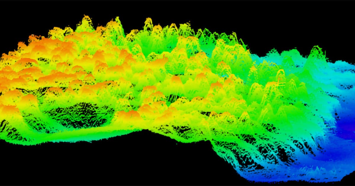 These previously unknown mesophotic coral reefs located more than 50 kilometers offshore of Pensacola exist well outside of Florida’s Coral Reef along the Atlantic Coast, offering new insights into deepwater habitats and helping guide reef protection and coastal planning.