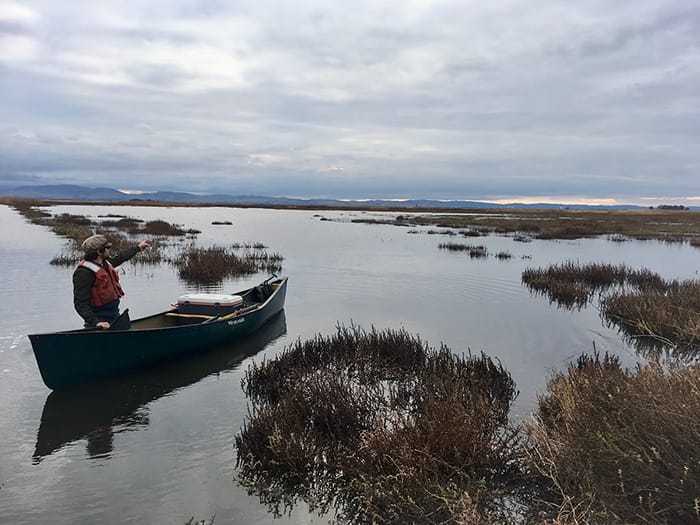 Kyle Phillips of UC Davis Center for Watershed Sciences prepares to paddle up Meins Landing for plankton surveys in Suisun Marsh.