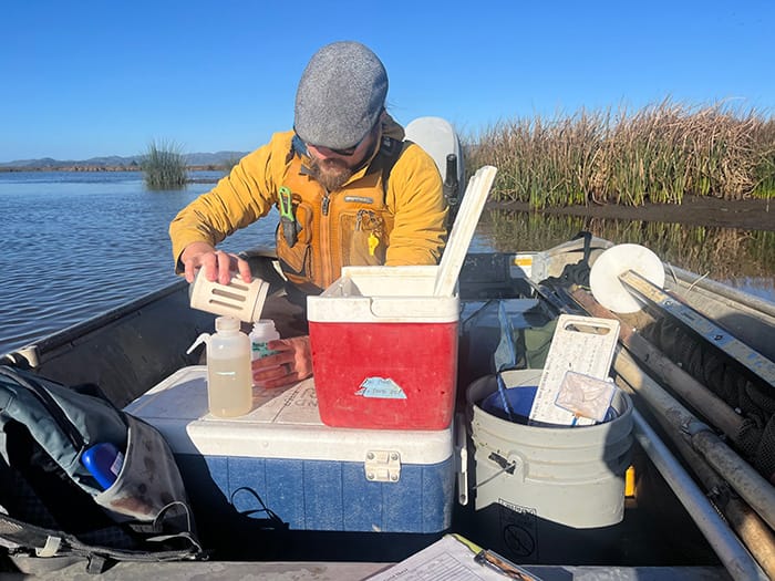 Kyle Phillips of UC Davis preserves fresh-caught zooplankton sample in Wings Landing, a tidal restoration site in Suisun Marsh.