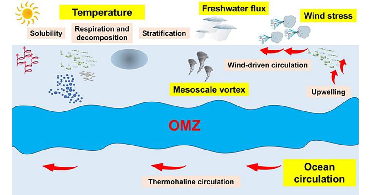 Driving factors of OMZ in the context of global change. (Image credit: Science China Press)