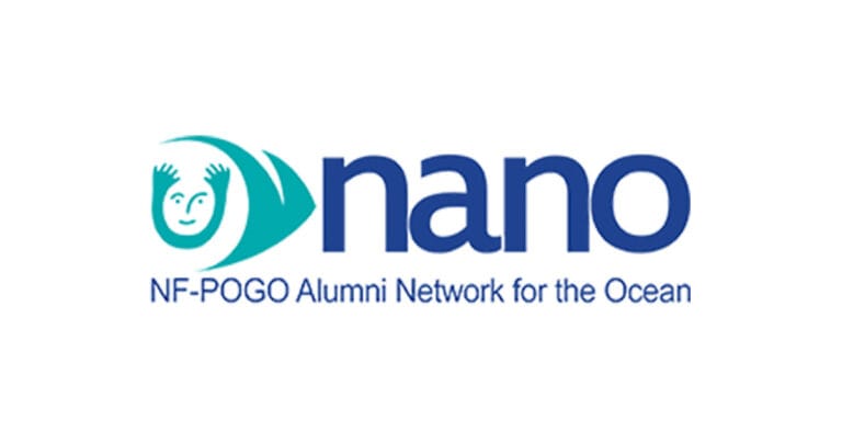 nano logo