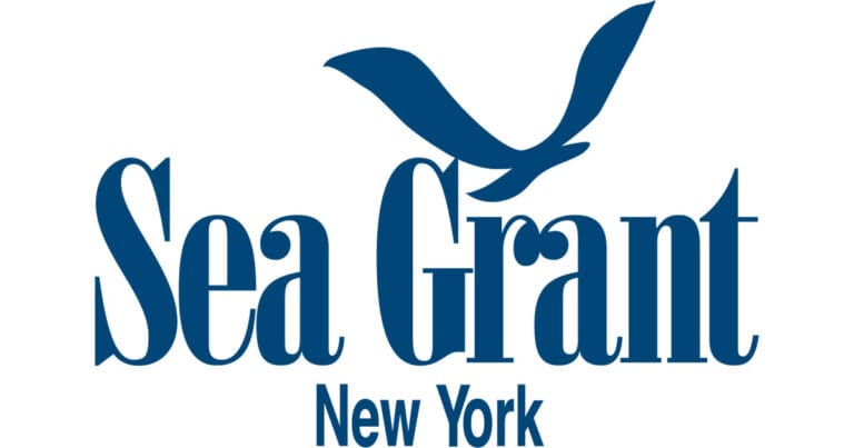 NYSG Logo