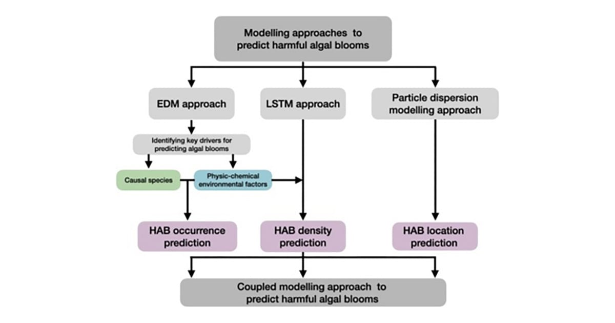 Prototype approach for coupling the three SATREPS models. (Image credit: Fumito Maruyama, Hiroshima University)