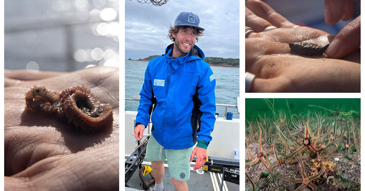 Dr Ben Harris, University of Exeter, and Brittle Star: Henley Spiers
