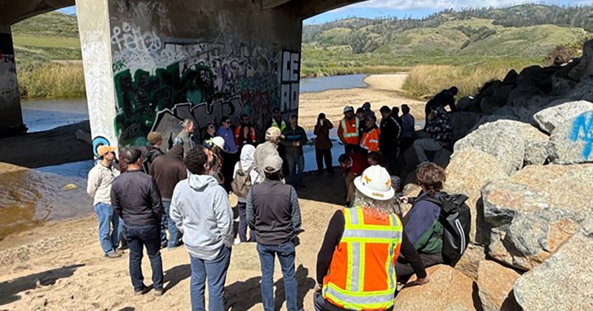 Workshop participants gather under the Scott Creek Bridge to discuss near- and long-term ecosystem and transportation needs.