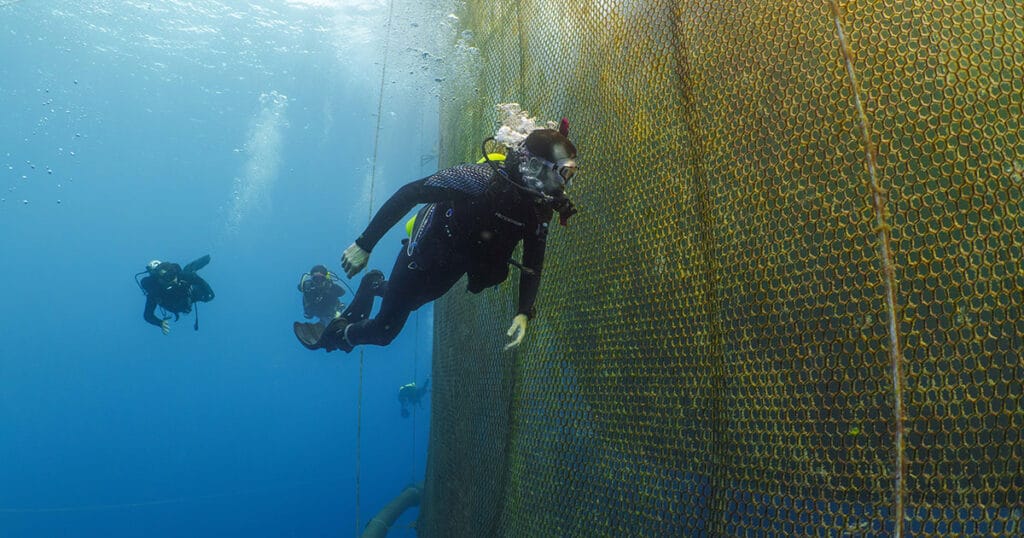 SeaProtean Pen 2. (Image credit: Innovasea)