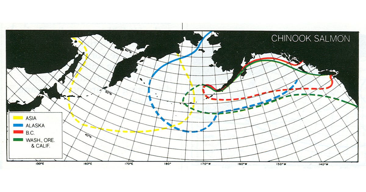 Chinook Migration Map.