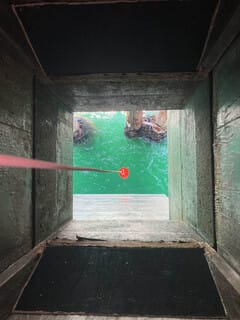The authors collect seawater from Scripps Pier to find samples of <em>P. kofoidii. </em>