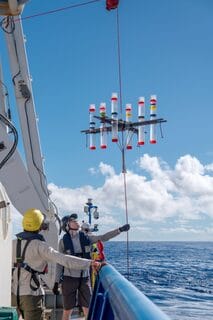Tully Rohrer (Scientist, University of Hawaiʻi at Mānoa) holds the sediment trap line from the telescopic crane before deployment at the aft deck aboard R/V Falkor (too). The team hypothesizes that decaying plankton effectively provide “compost” for the phytoplankton living in deeper waters. 