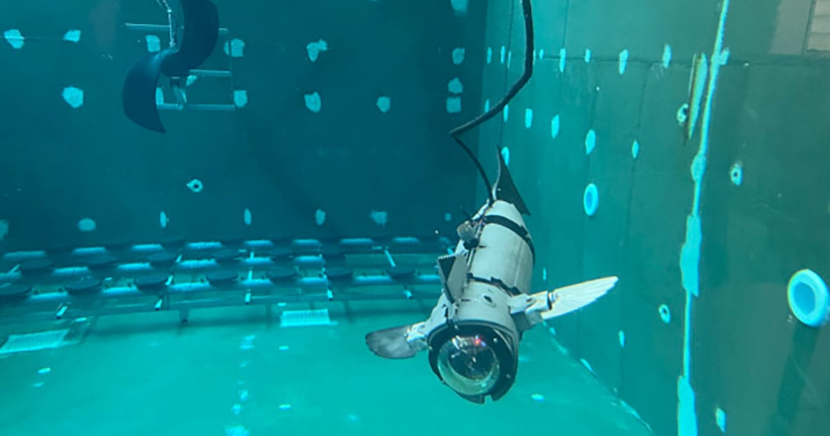 A deployed experimental modular, bio-inspired robotic fish prototype (UJIFISH).