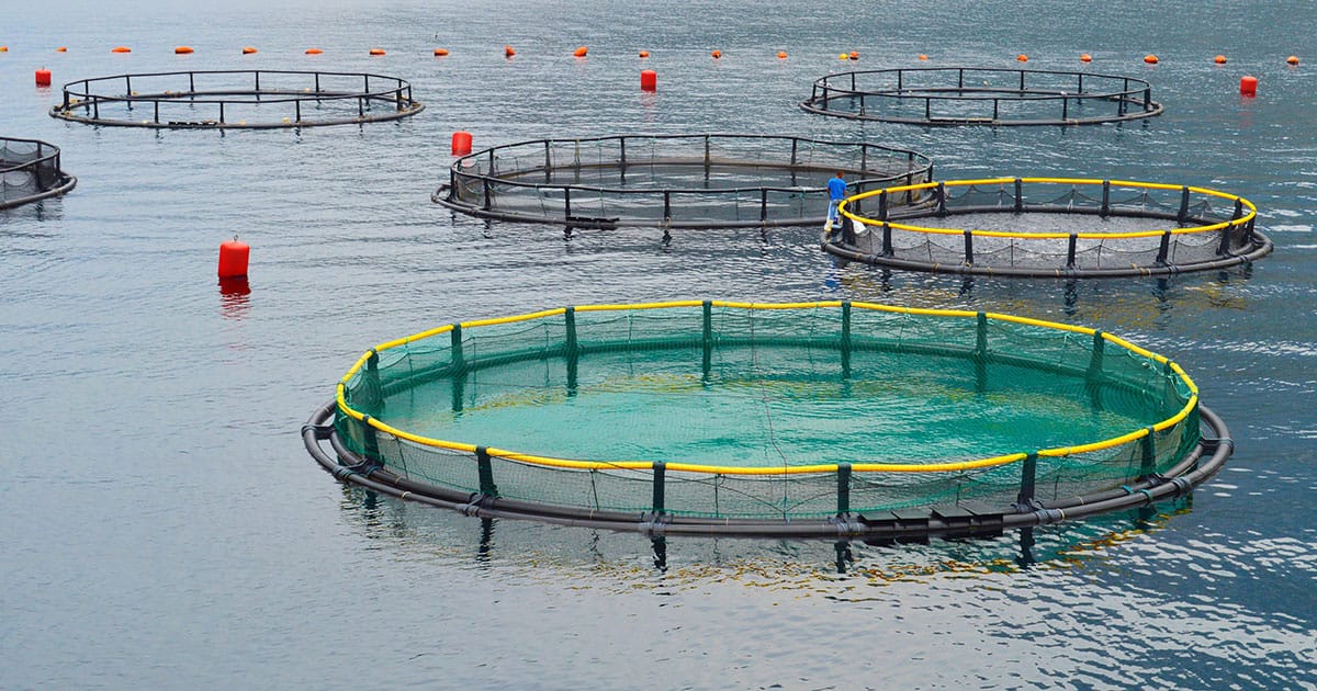 Open Ocean Aquaculture Farms