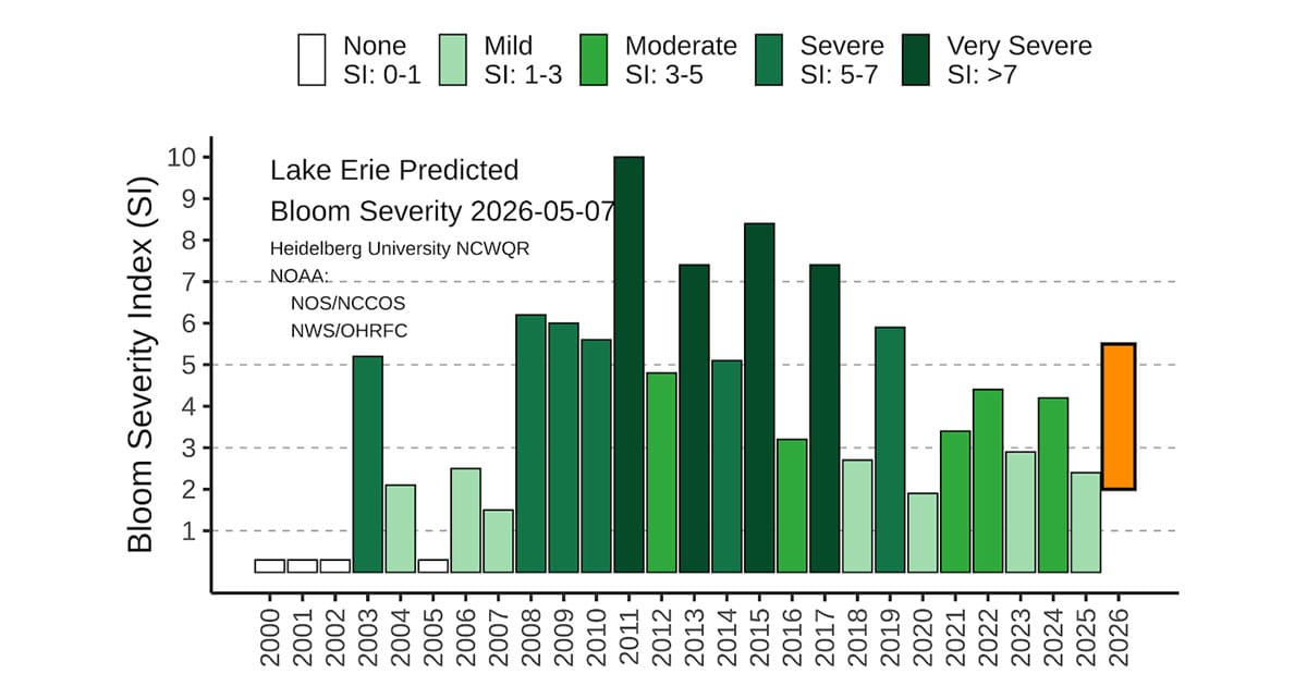 Predicted bloom severity as compared to previous years. The wide orange bar is the likely range of severity based on the limits of the forecast uncertainty (2–5.5; Moderate bloom).