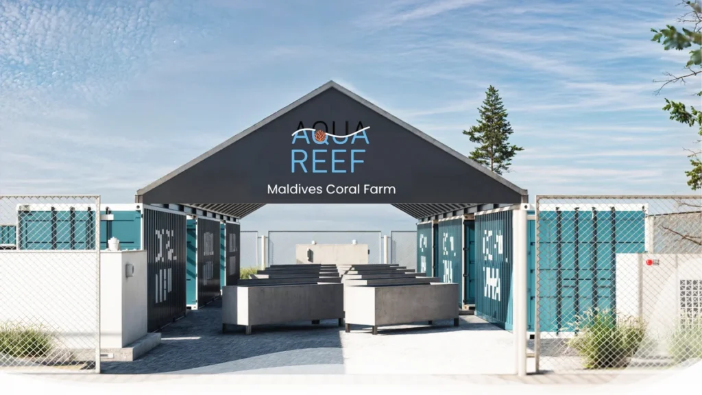 The coral reef restoration farm will take up about 2,500 m². In ten specialized containers, powered by solar energy, the partners will grow over 15,000 corals over a period of 24 months. 