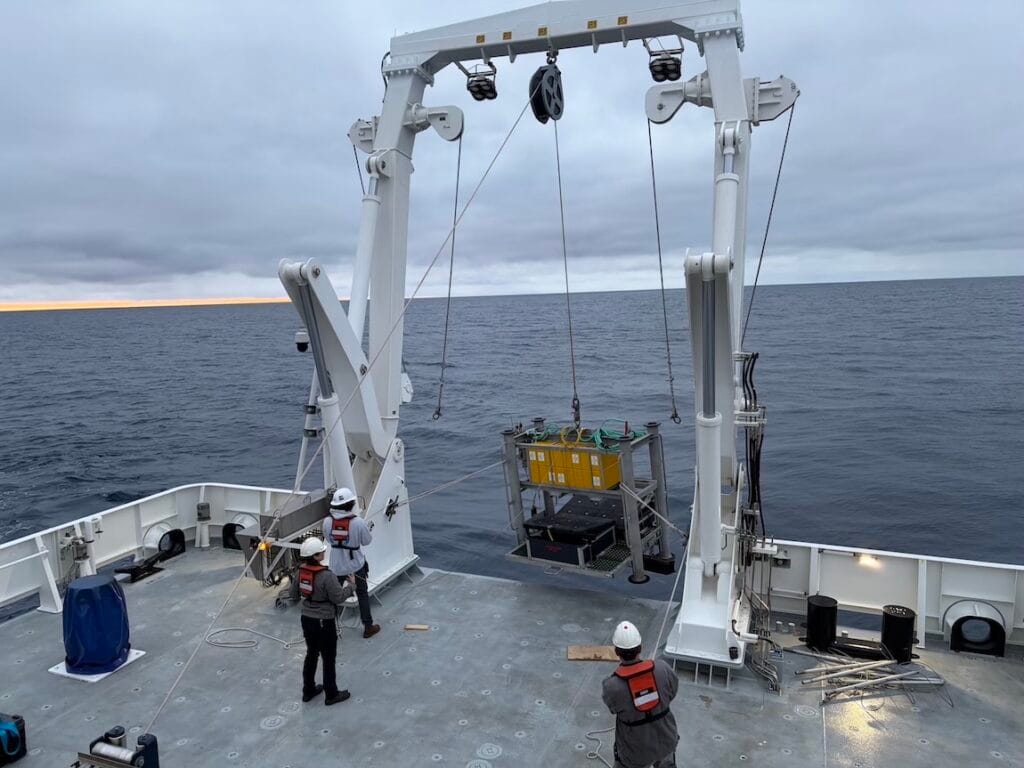 MBARI engineers developed an “elevator” to facilitate collections of larger animals. After the R/V David Packard crew deploys the elevator, MBARI’s submersible pilots can gently transfer animals into large drawers.