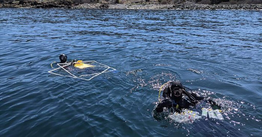 Members of the Rasher lab, including lead author Shane Farrell prepare to dive with scientific equipment off as part of an extensive reef survey documenting kelp forest loss along the Maine coast.
