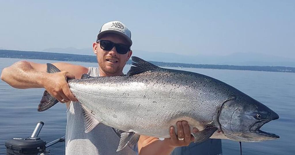 Anglers have partnered with the Adult Salmon Diet Program and submit stomachs from adult Chinook and coho salmon they catch to advance scientific understanding of the role that salmon play as predators in the ocean.