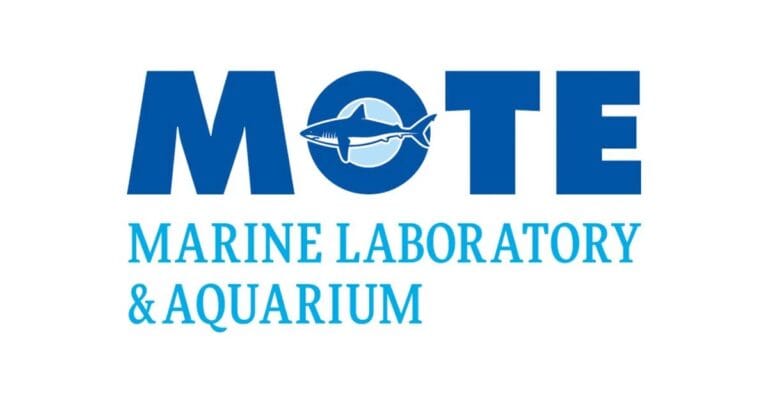 MOTE Logo