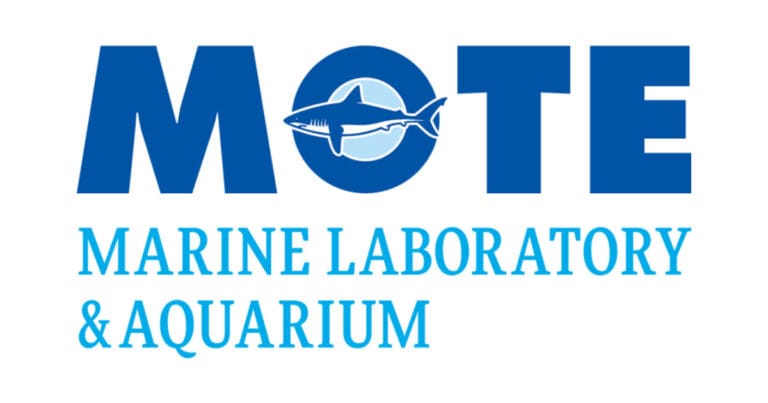 MOTE Logo