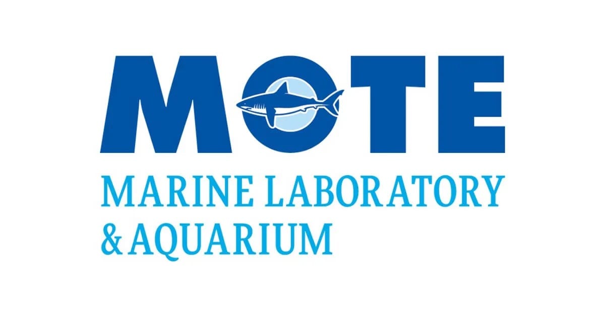 MOTE Logo