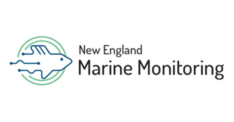 NEMM Logo