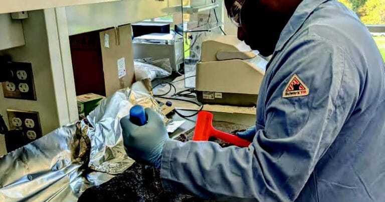 Pharmacy student Fandra Kenelak uses a hammer and chisel to find marine wood-eating shipworms in a piece of wood that was collected from the bottom of Narragansett Bay.