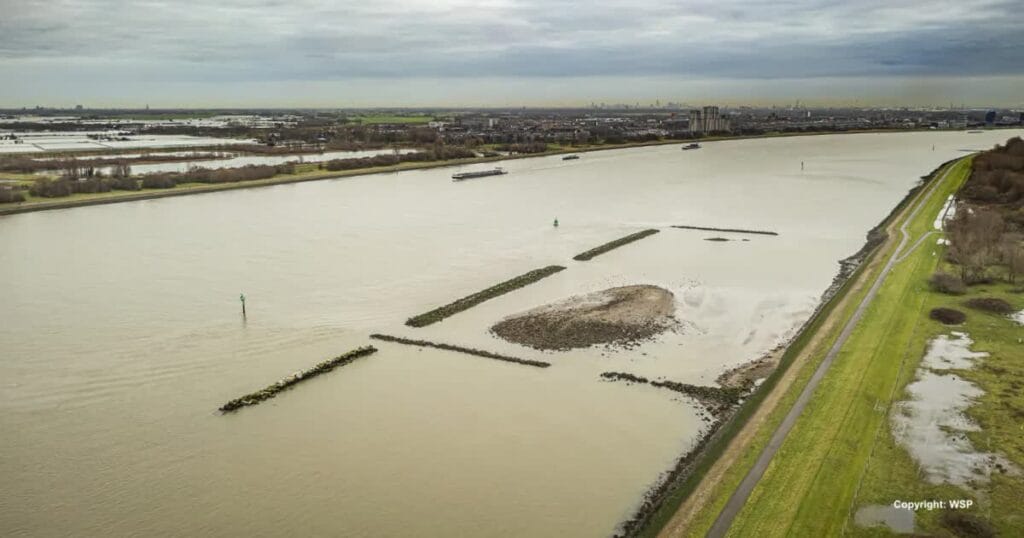 Tidal Habitat Along the Scheur River