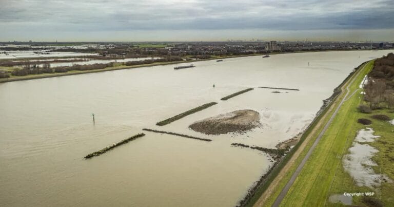Tidal Habitat Along the Scheur River