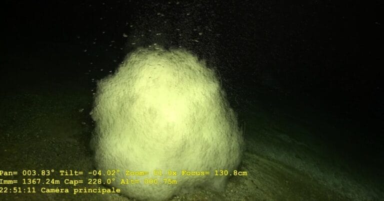 CO2 hydrates releasing droplets of liquid CO2, filmed in 2021 at a depth of 1,367 meters by the Victor 6000 ROV in the Fer à Cheval area during the Geoflamme campaign aboard the Pourquoi Pas.