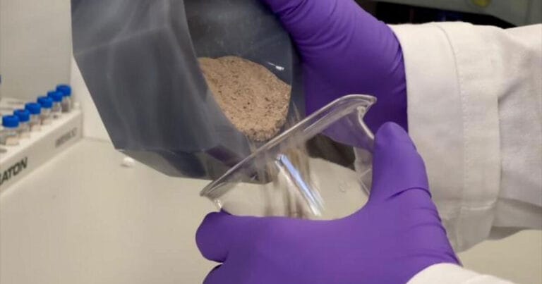 Marine sedimentary rocks from the Palaeocene-Eocene Thermal Maximum (56 million years old) are crushed into a fine powder for geochemical analysis