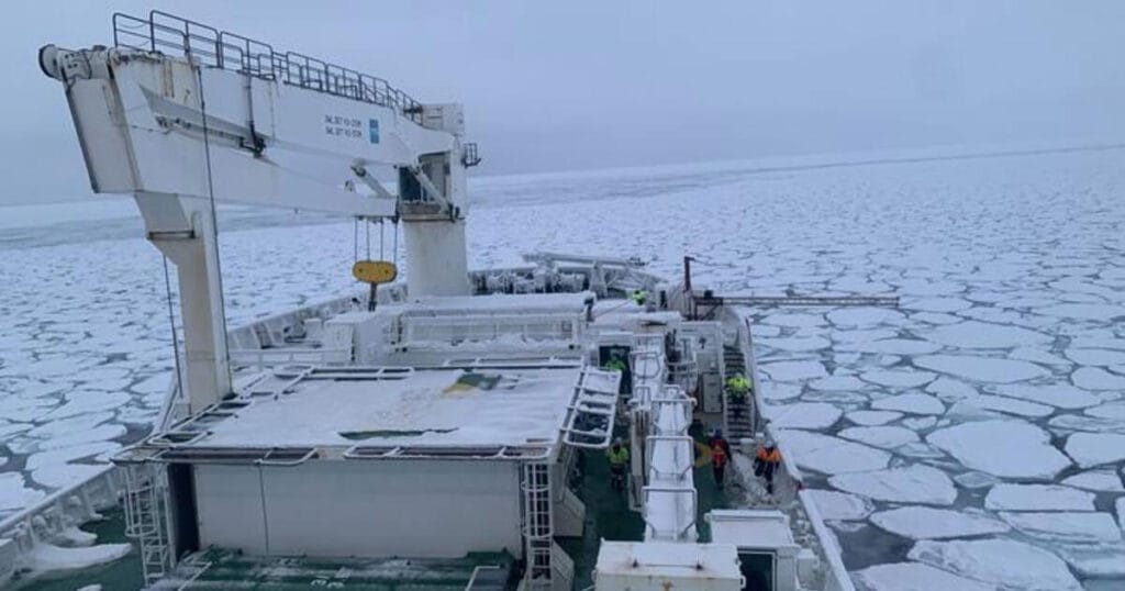 The samples for the study were collected during the Southern Ocean Seasonal Experiment austral winter expedition on board the SA Agulhas II polar research vessel from July 11–22, 2022.