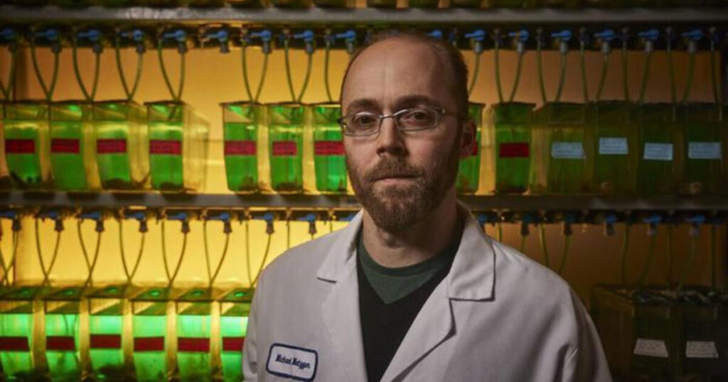 Michael Metzger, Ph.D., is a scientist at the Pacific Northwest Research Institute and the senior author of a study documenting a severe outbreak of contagious cancer in soft-shell clams in Washington State's Puget Sound and tracing the disease's likely introduction from populations on the Atlantic Coast.