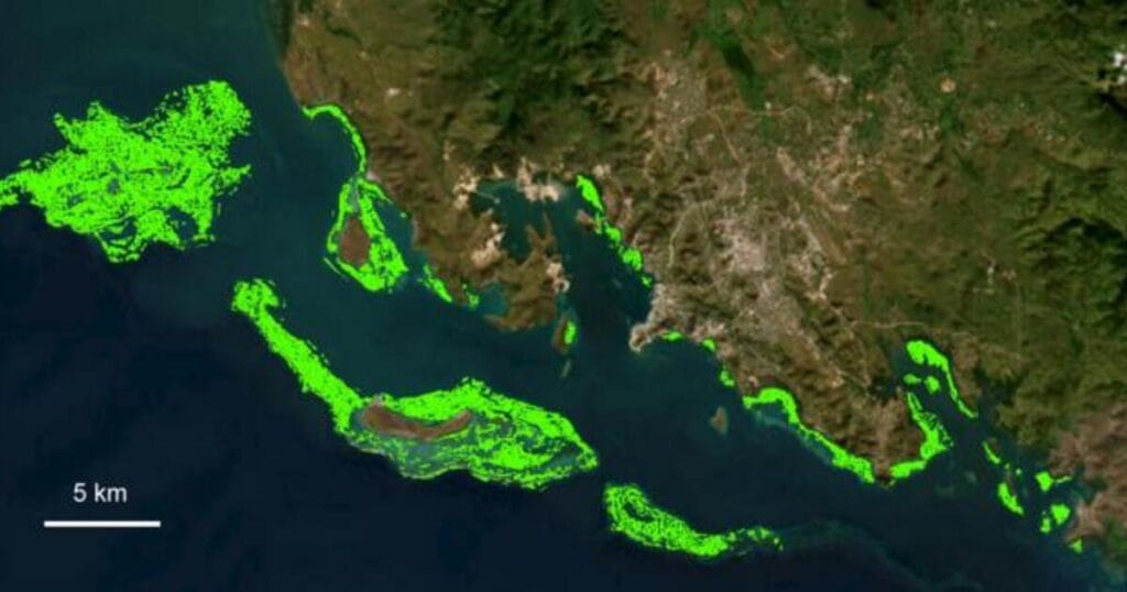 A satellite photo of Papua New Guinea with areas of seagrass highlighted in green.