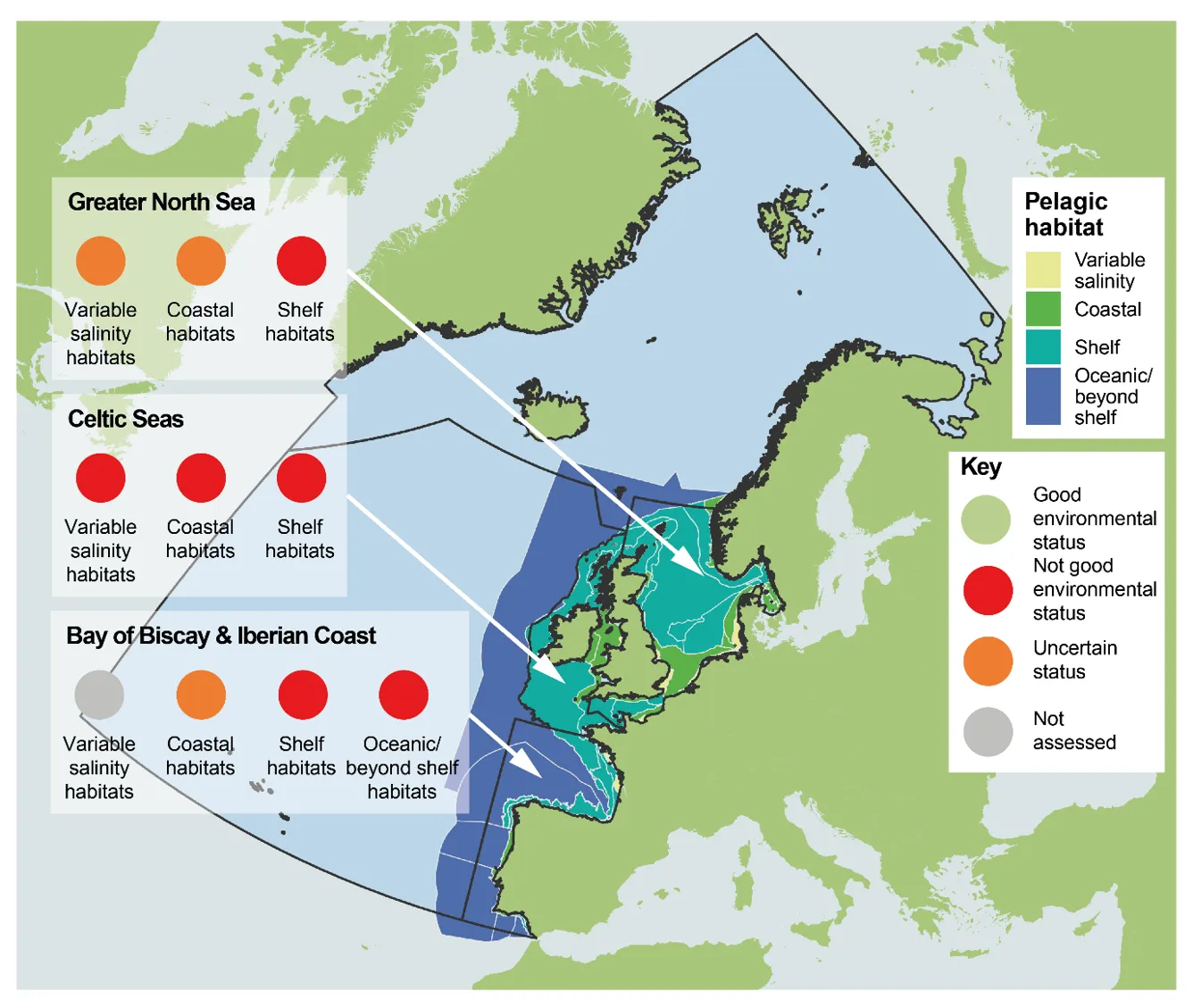 As part of a new study on ocean health, led by the University of Plymouth, regions and habitats were given one of four status categories – Good Environmental Status, Not Good Environmental Status, Uncertain status, or Not Assessed – based on an integrated analysis of the data, and whether there was sufficient data to make a determination (Image credit: University of Plymouth)