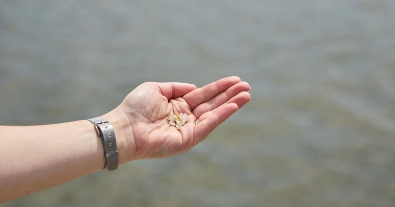 Plastic pellets.